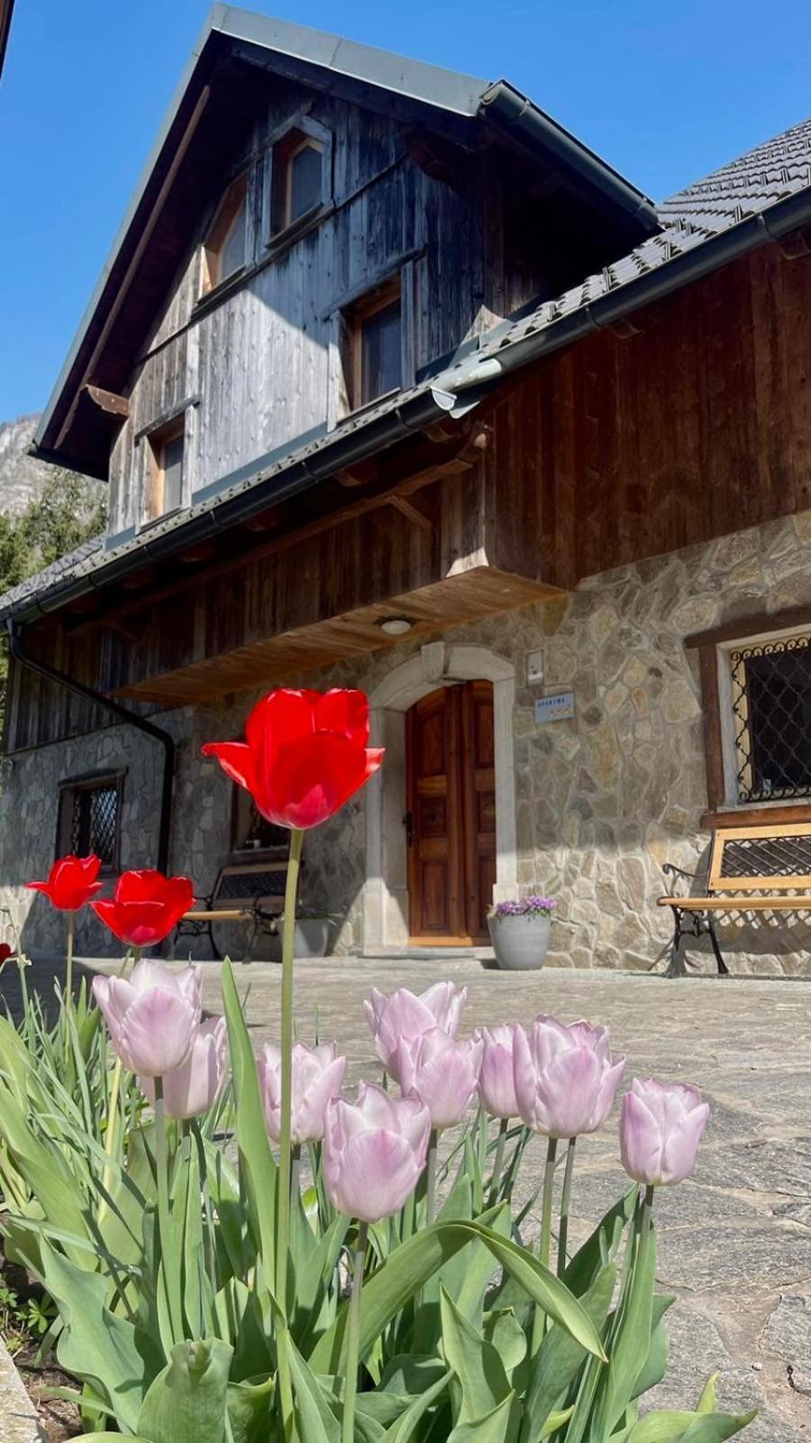 4 Elements Resort Bled Bohinjska Bela Exterior foto